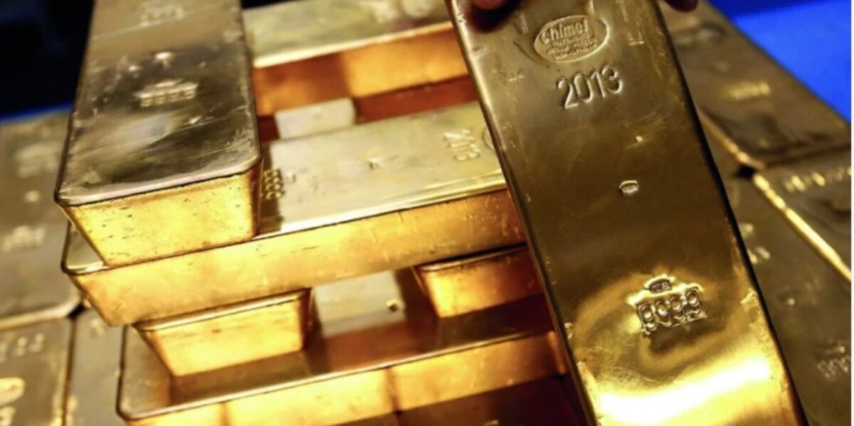 Brazil Seizes Record Amount of Illegal Gold in the Amazon