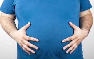 Risk of Death in Older Adults: The Role of Abdominal Fat and Muscle Mass