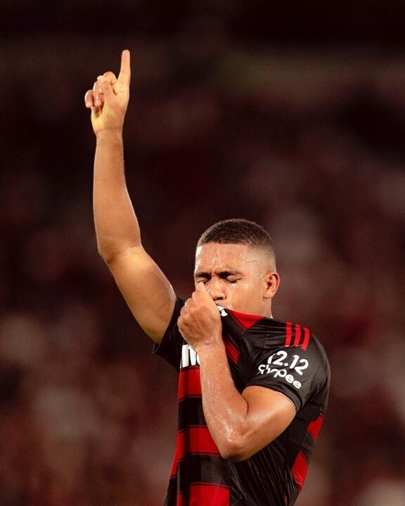 Flamengo Wins Brasileirão Title