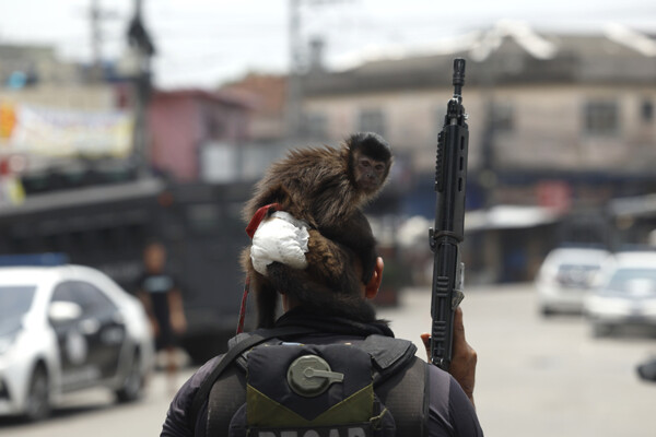 Rio de Janeiro Favela Residents Find 40 Bodies After Police Operation