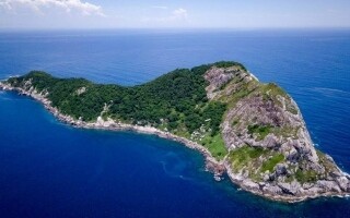 Загадочный Остров Змей в Бразилии