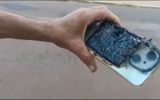 Phone Explosion Saves Brazilian Mechanic from Dogs