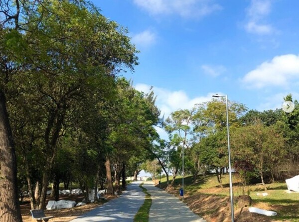 The Unsolved Mystery of the São Paulo Park Murders