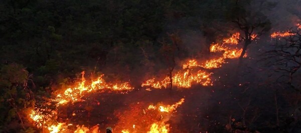 Лесные пожары в Бразилии затрагивают 18,9 миллиона человек